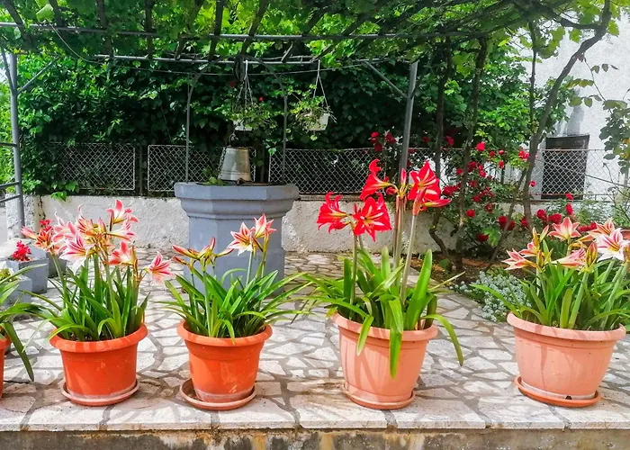 Apartman Lavanda Sa Bazenom I Okucnicom 4*
